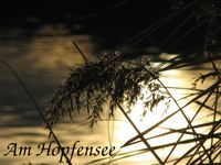 Hopfensee5